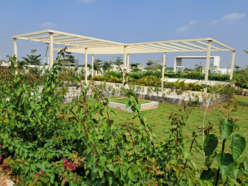 plots for sale